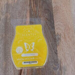 Scentsy Wax Bar